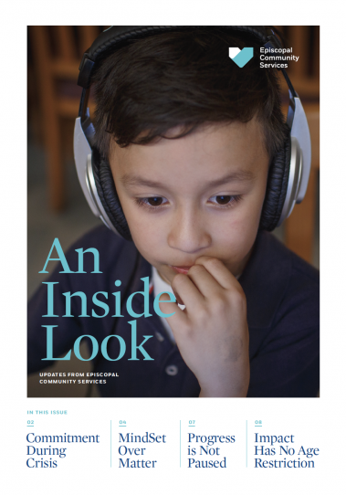 An Inside Look